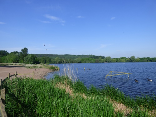 Westport Lake